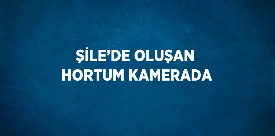 ŞİLE’DE OLUŞAN HORTUM KAMERADA