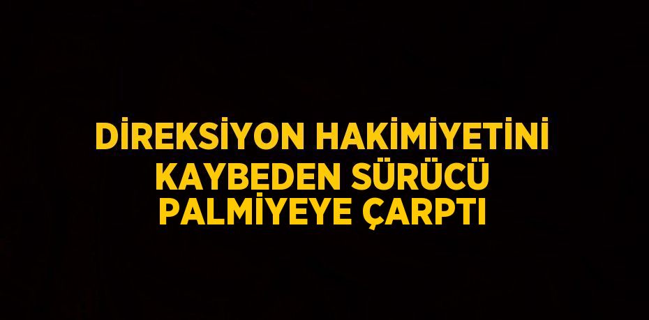 DİREKSİYON HAKİMİYETİNİ KAYBEDEN SÜRÜCÜ PALMİYEYE ÇARPTI