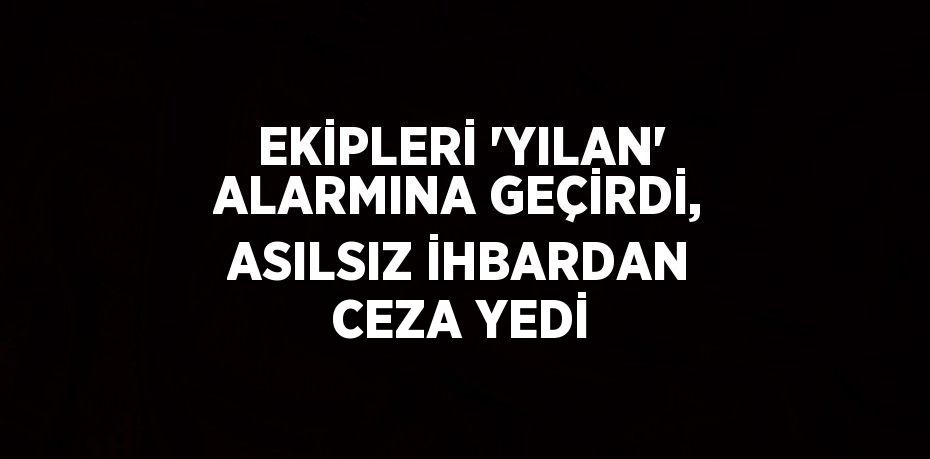 EKİPLERİ 'YILAN' ALARMINA GEÇİRDİ, ASILSIZ İHBARDAN CEZA YEDİ