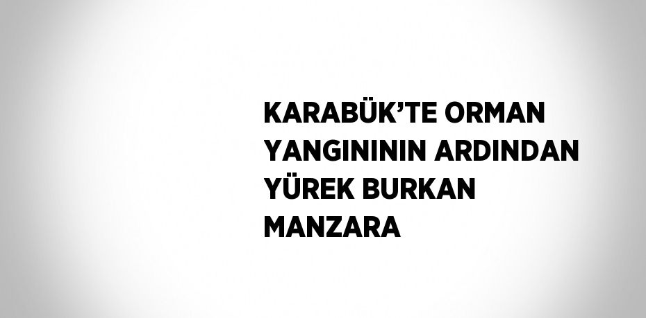 KARABÜK’TE ORMAN YANGINININ ARDINDAN YÜREK BURKAN MANZARA