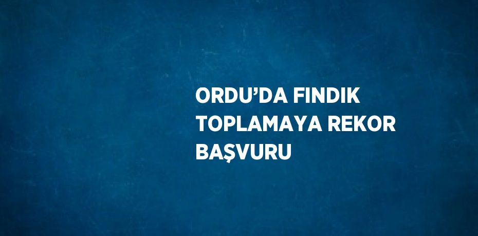 ORDU’DA FINDIK TOPLAMAYA REKOR BAŞVURU
