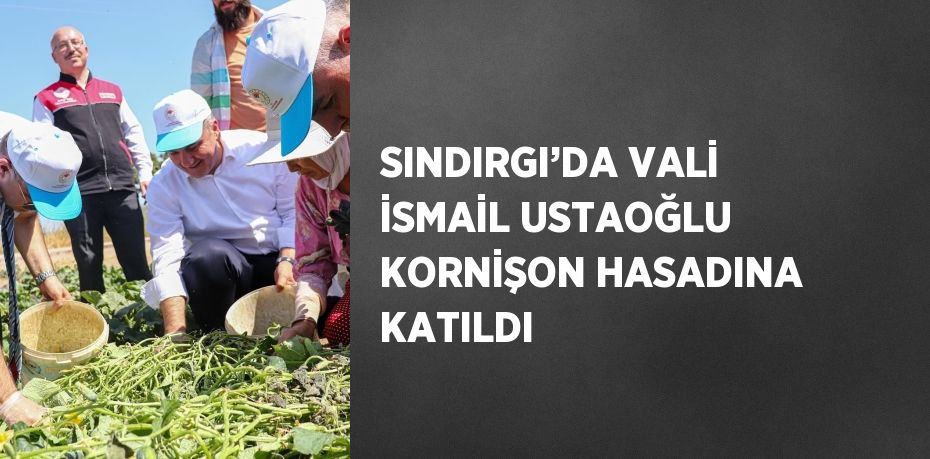 SINDIRGI’DA VALİ İSMAİL USTAOĞLU KORNİŞON HASADINA KATILDI
