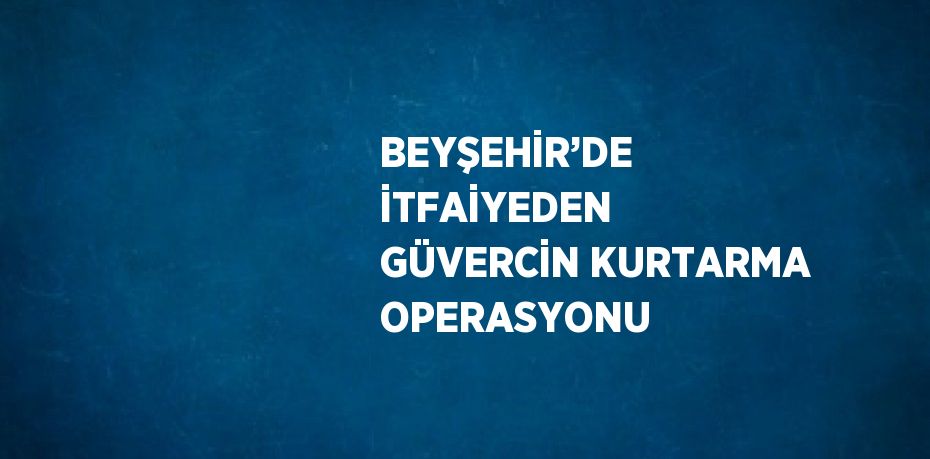 BEYŞEHİR’DE İTFAİYEDEN GÜVERCİN KURTARMA OPERASYONU