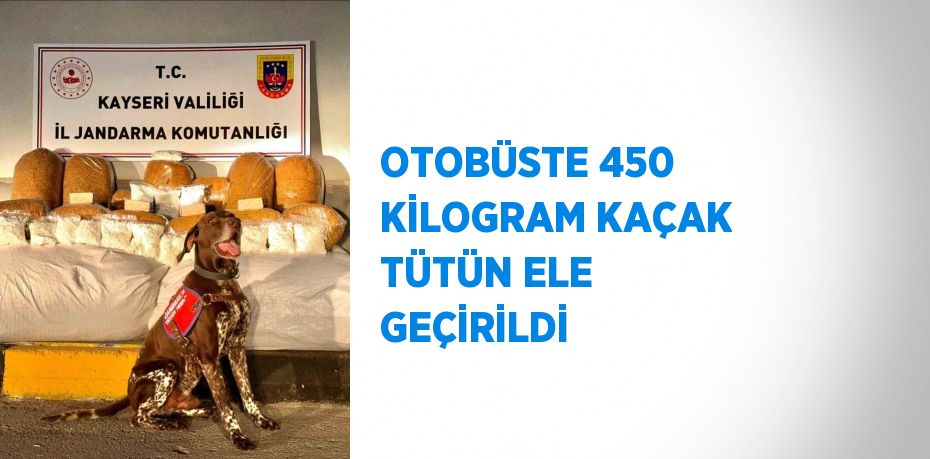OTOBÜSTE 450 KİLOGRAM KAÇAK TÜTÜN ELE GEÇİRİLDİ