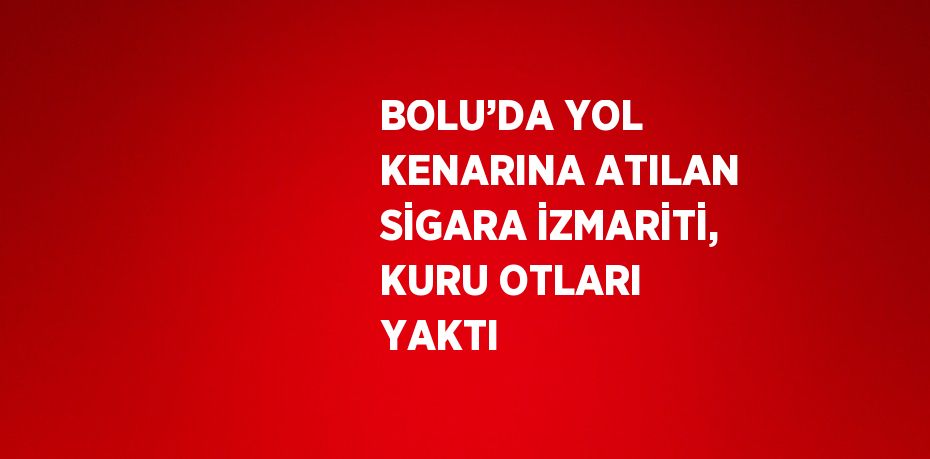 BOLU’DA YOL KENARINA ATILAN SİGARA İZMARİTİ, KURU OTLARI YAKTI