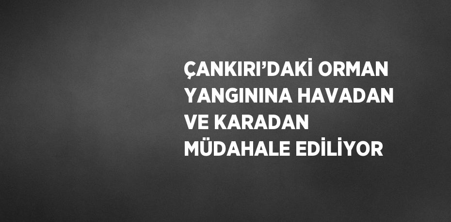 ÇANKIRI’DAKİ ORMAN YANGININA HAVADAN VE KARADAN MÜDAHALE EDİLİYOR