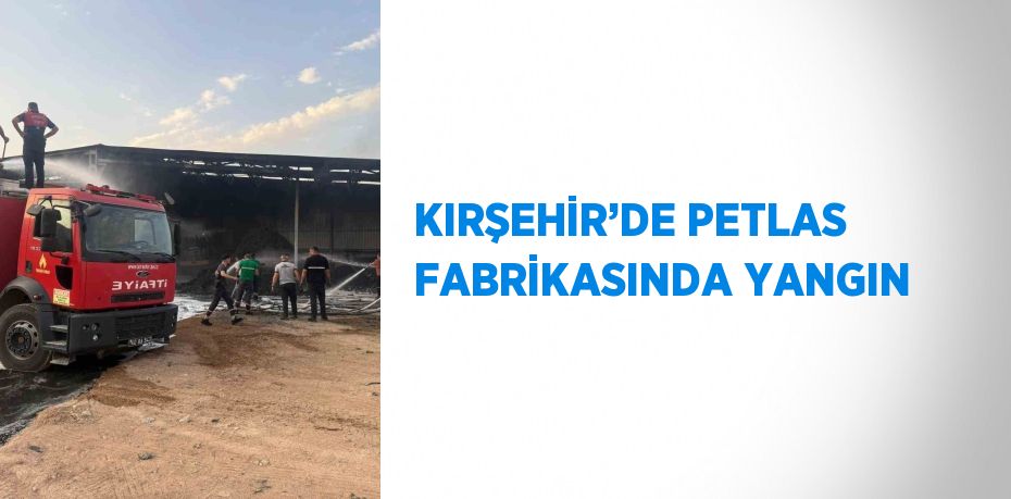 KIRŞEHİR’DE PETLAS FABRİKASINDA YANGIN