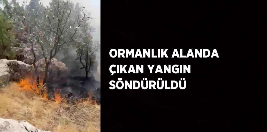 ORMANLIK ALANDA ÇIKAN YANGIN SÖNDÜRÜLDÜ