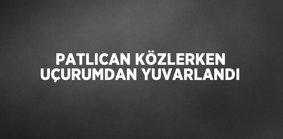 PATLICAN KÖZLERKEN UÇURUMDAN YUVARLANDI