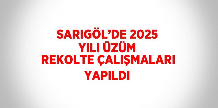 SARIGÖL’DE 2025 YILI ÜZÜM REKOLTE ÇALIŞMALARI YAPILDI