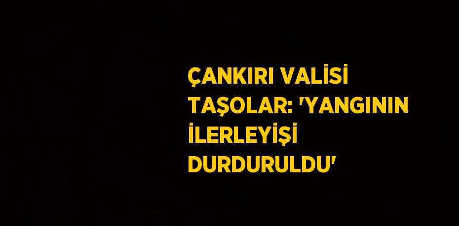 ÇANKIRI VALİSİ TAŞOLAR: 'YANGININ İLERLEYİŞİ DURDURULDU'