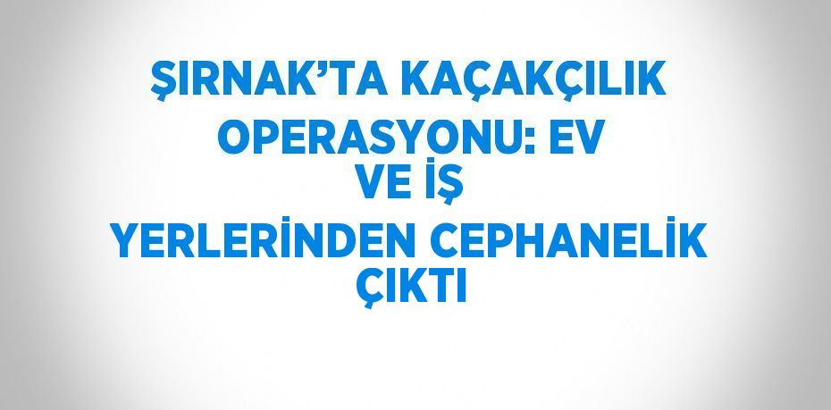 ŞIRNAK’TA KAÇAKÇILIK OPERASYONU: EV VE İŞ YERLERİNDEN CEPHANELİK ÇIKTI