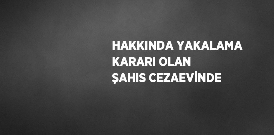HAKKINDA YAKALAMA KARARI OLAN ŞAHIS CEZAEVİNDE