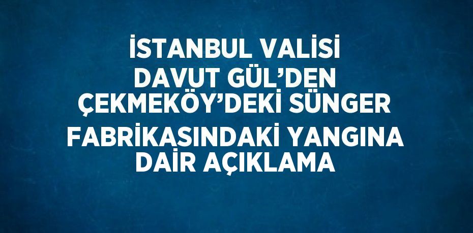 İSTANBUL VALİSİ DAVUT GÜL’DEN ÇEKMEKÖY’DEKİ SÜNGER FABRİKASINDAKİ YANGINA DAİR AÇIKLAMA