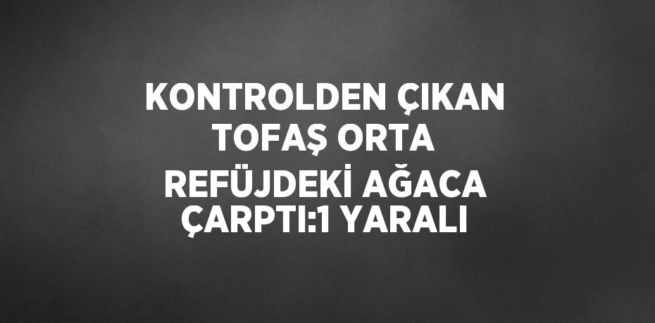 KONTROLDEN ÇIKAN TOFAŞ ORTA REFÜJDEKİ AĞACA ÇARPTI:1 YARALI