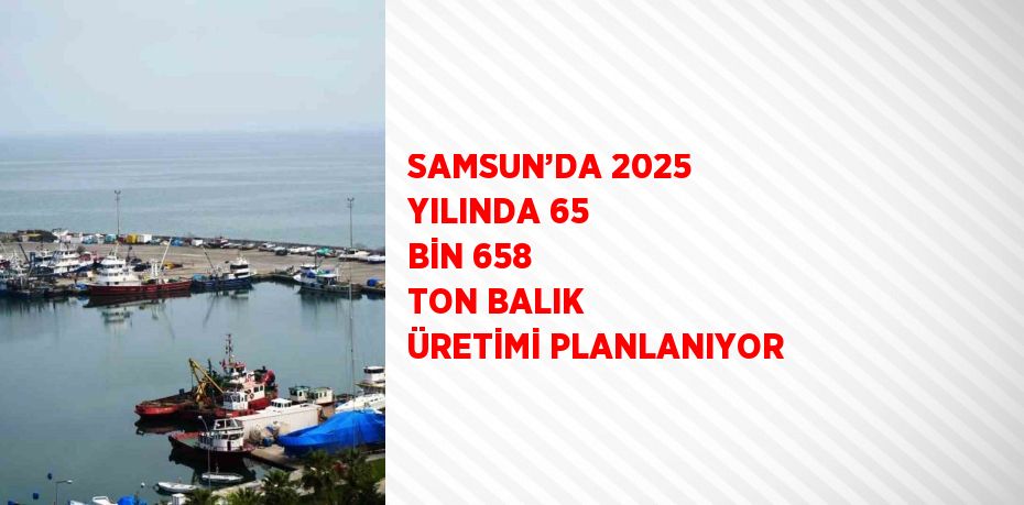 SAMSUN’DA 2025 YILINDA 65 BİN 658 TON BALIK ÜRETİMİ PLANLANIYOR