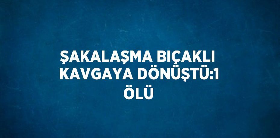 ŞAKALAŞMA BIÇAKLI KAVGAYA DÖNÜŞTÜ:1 ÖLÜ