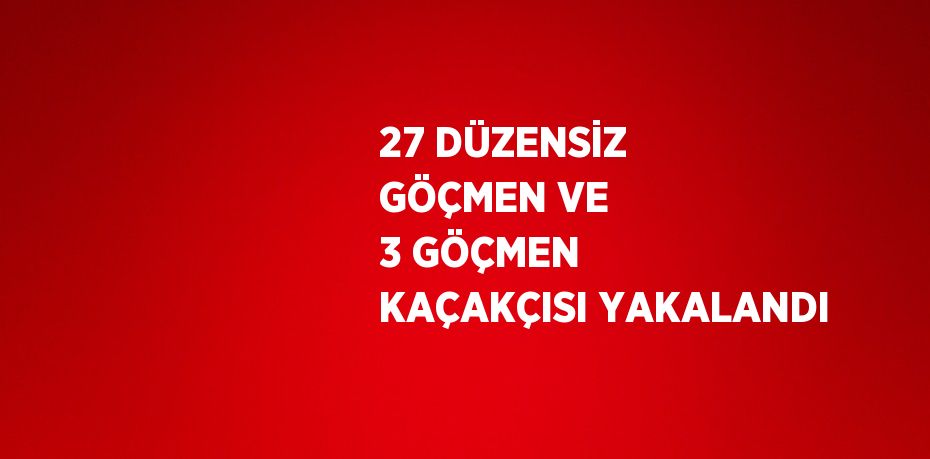 27 DÜZENSİZ GÖÇMEN VE 3 GÖÇMEN KAÇAKÇISI YAKALANDI