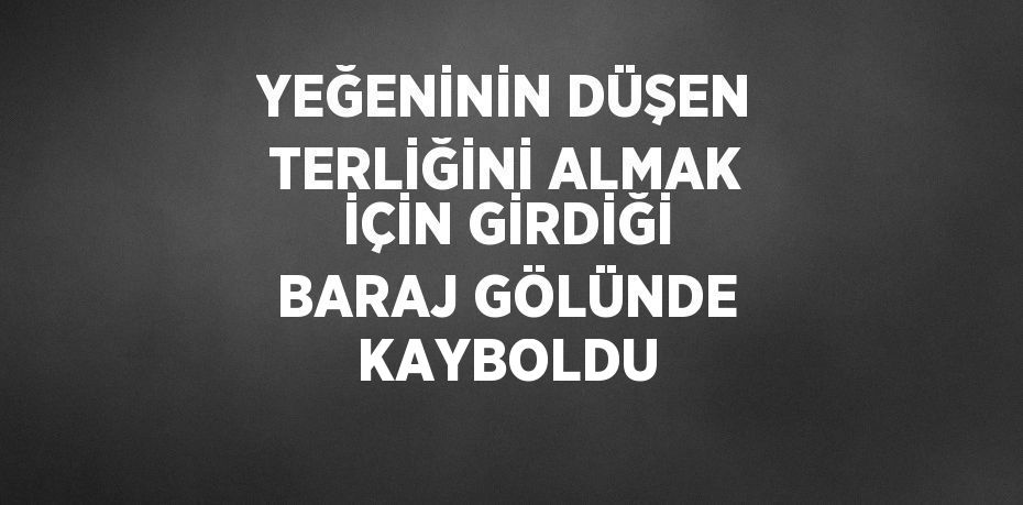 YEĞENİNİN DÜŞEN TERLİĞİNİ ALMAK İÇİN GİRDİĞİ BARAJ GÖLÜNDE KAYBOLDU
