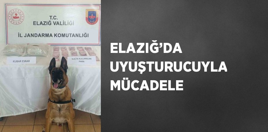 ELAZIĞ’DA UYUŞTURUCUYLA MÜCADELE