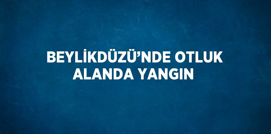 BEYLİKDÜZÜ’NDE OTLUK ALANDA YANGIN