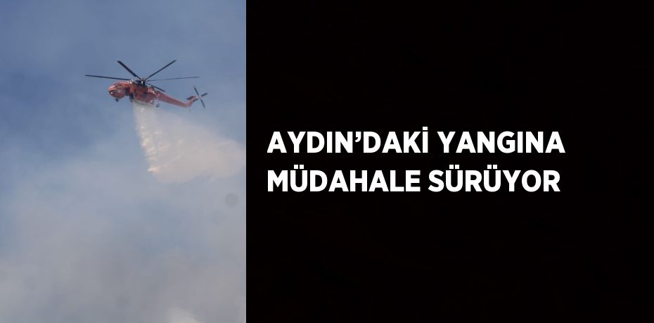 AYDIN’DAKİ YANGINA MÜDAHALE SÜRÜYOR