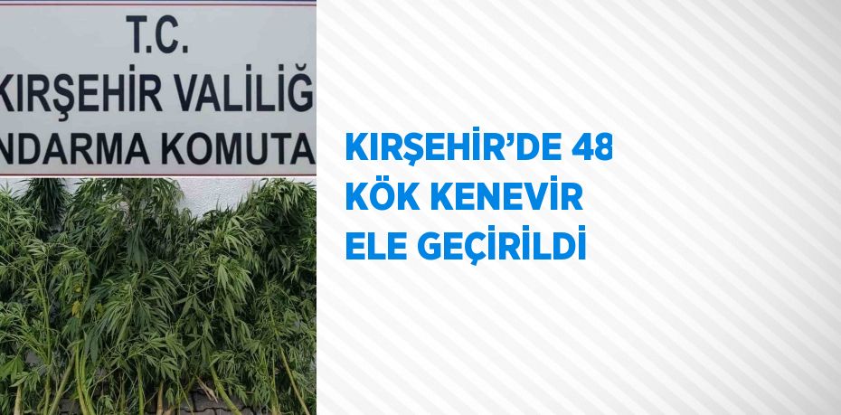 KIRŞEHİR’DE 48 KÖK KENEVİR ELE GEÇİRİLDİ