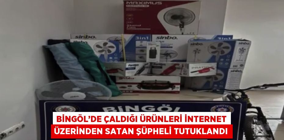 BİNGÖL’DE ÇALDIĞI ÜRÜNLERİ İNTERNET ÜZERİNDEN SATAN ŞÜPHELİ TUTUKLANDI