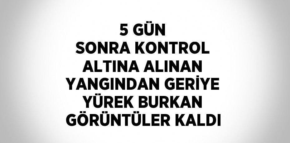 5 GÜN SONRA KONTROL ALTINA ALINAN YANGINDAN GERİYE YÜREK BURKAN GÖRÜNTÜLER KALDI