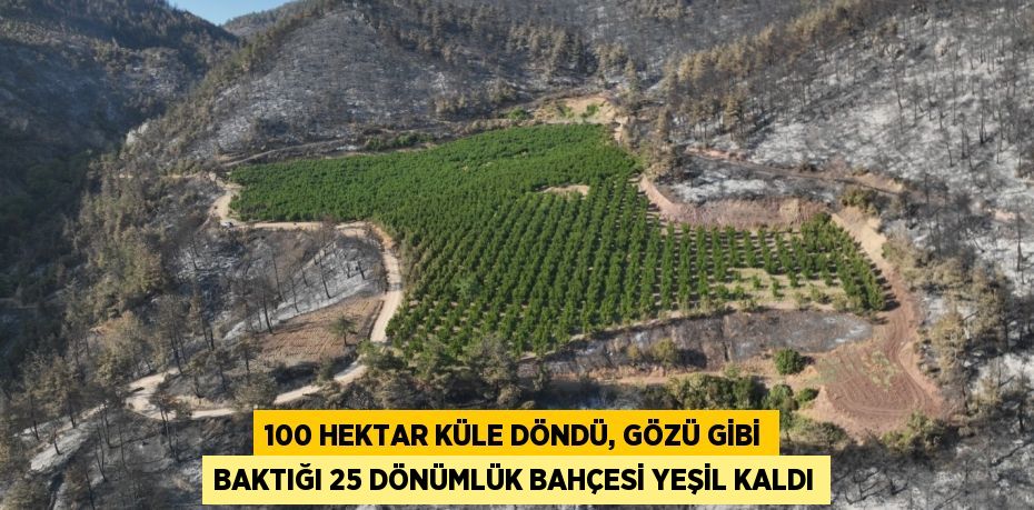 100 hektar küle döndü, gözü gibi baktığı 25 dönümlük bahçesi yeşil kaldı