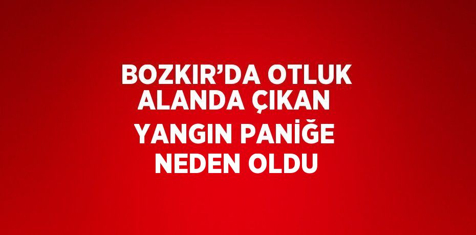 BOZKIR’DA OTLUK ALANDA ÇIKAN YANGIN PANİĞE NEDEN OLDU