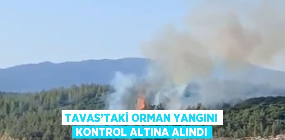 TAVAS’TAKİ ORMAN YANGINI KONTROL ALTINA ALINDI