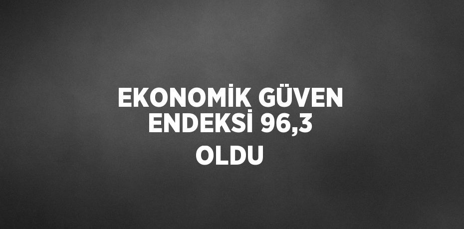 EKONOMİK GÜVEN ENDEKSİ 96,3 OLDU