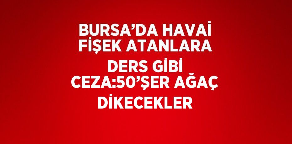 BURSA’DA HAVAİ FİŞEK ATANLARA DERS GİBİ CEZA:50’ŞER AĞAÇ DİKECEKLER