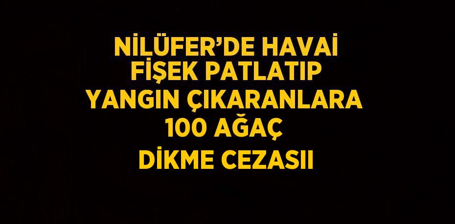 NİLÜFER’DE HAVAİ FİŞEK PATLATIP YANGIN ÇIKARANLARA 100 AĞAÇ DİKME CEZASII