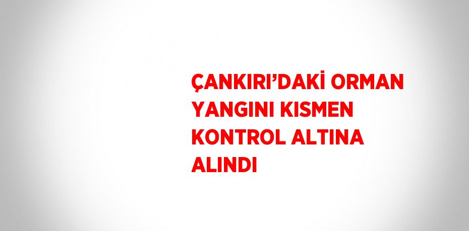 ÇANKIRI’DAKİ ORMAN YANGINI KISMEN KONTROL ALTINA ALINDI