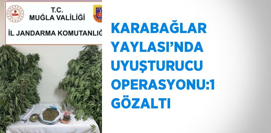 KARABAĞLAR YAYLASI’NDA UYUŞTURUCU OPERASYONU:1 GÖZALTI