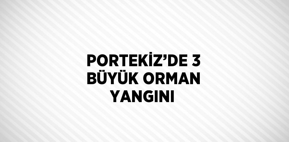 PORTEKİZ’DE 3 BÜYÜK ORMAN YANGINI