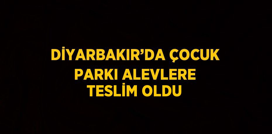 DİYARBAKIR’DA ÇOCUK PARKI ALEVLERE TESLİM OLDU