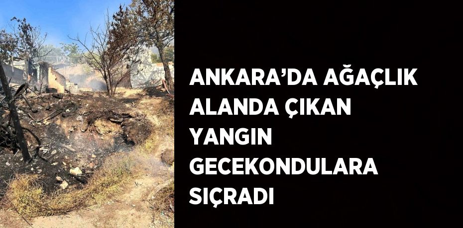 ANKARA’DA AĞAÇLIK ALANDA ÇIKAN YANGIN GECEKONDULARA SIÇRADI