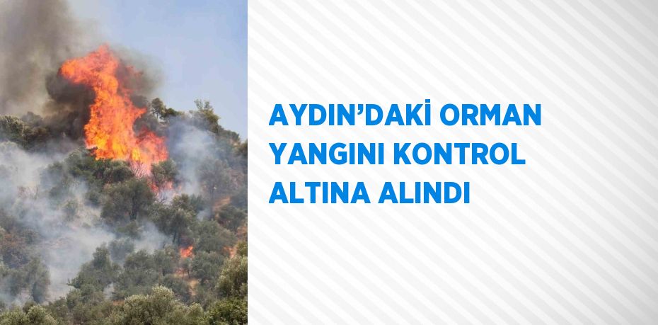 AYDIN’DAKİ ORMAN YANGINI KONTROL ALTINA ALINDI