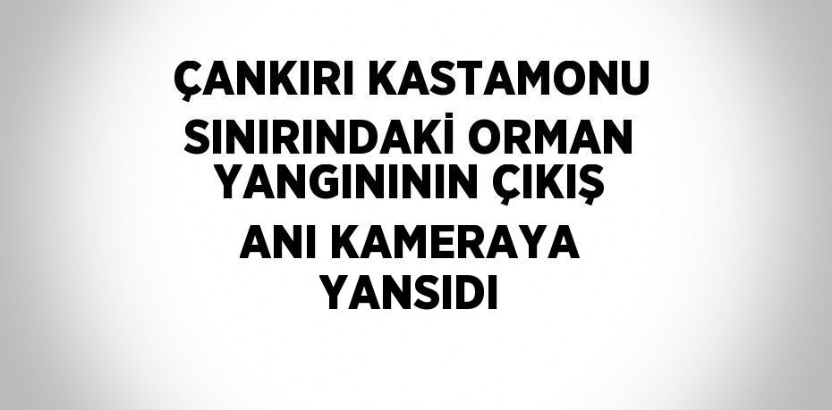 ÇANKIRI KASTAMONU SINIRINDAKİ ORMAN YANGINININ ÇIKIŞ ANI KAMERAYA YANSIDI