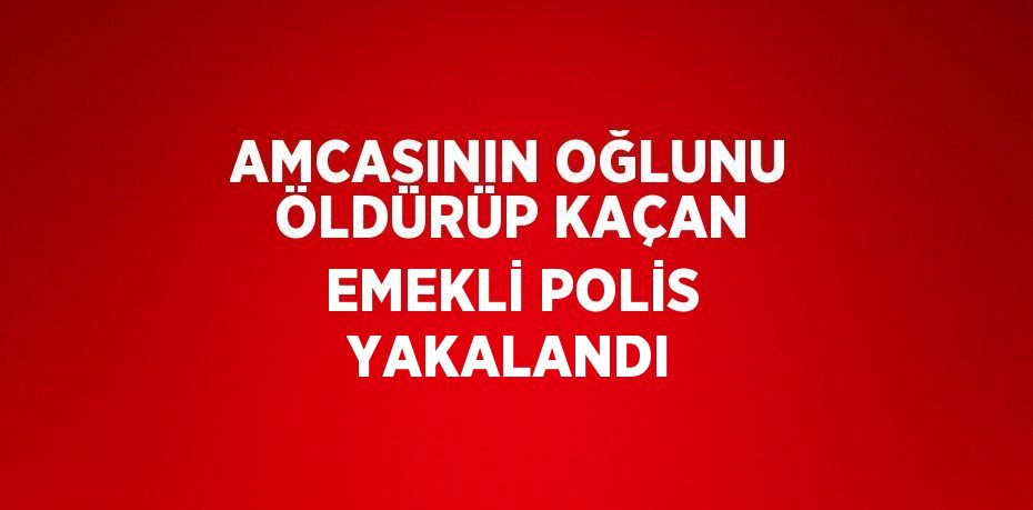 AMCASININ OĞLUNU ÖLDÜRÜP KAÇAN EMEKLİ POLİS YAKALANDI
