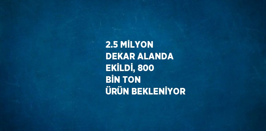 2.5 MİLYON DEKAR ALANDA EKİLDİ, 800 BİN TON ÜRÜN BEKLENİYOR