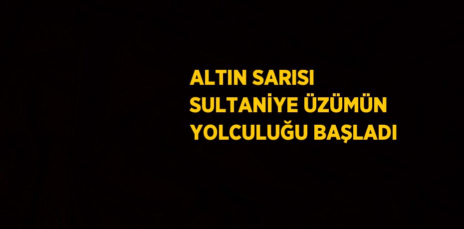 ALTIN SARISI SULTANİYE ÜZÜMÜN YOLCULUĞU BAŞLADI