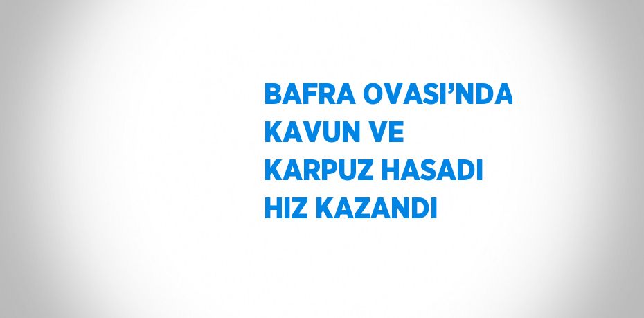 BAFRA OVASI’NDA KAVUN VE KARPUZ HASADI HIZ KAZANDI