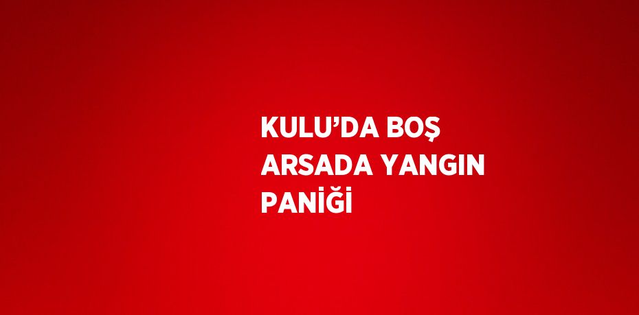 KULU’DA BOŞ ARSADA YANGIN PANİĞİ