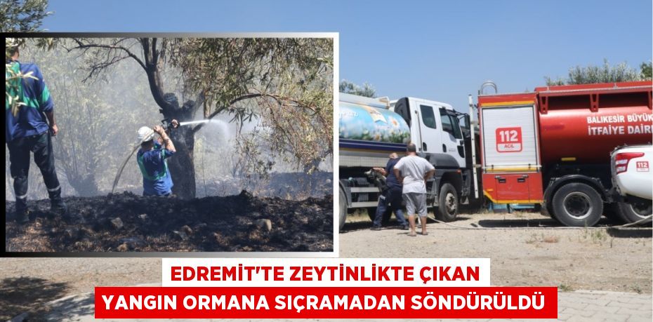 Edremit’te zeytinlikte çıkan yangın ormana sıçramadan söndürüldü