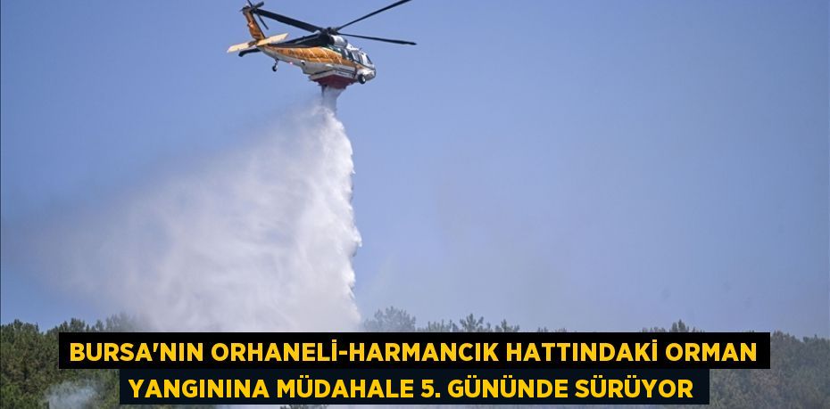 Bursa'nın Orhaneli-Harmancık hattındaki orman yangınına müdahale 5. gününde sürüyor