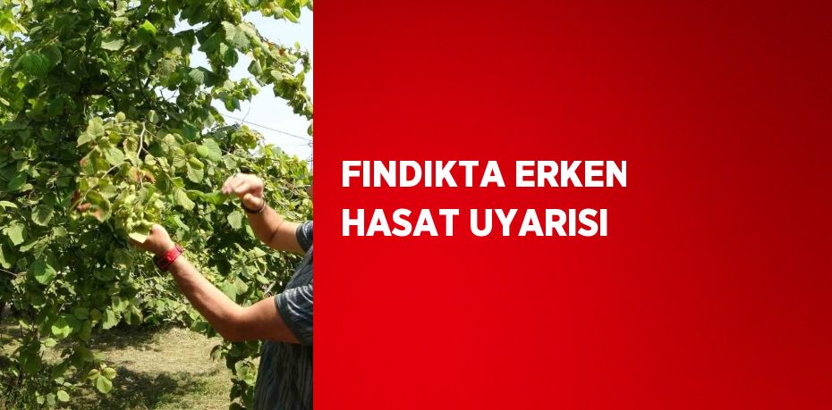 FINDIKTA ERKEN HASAT UYARISI